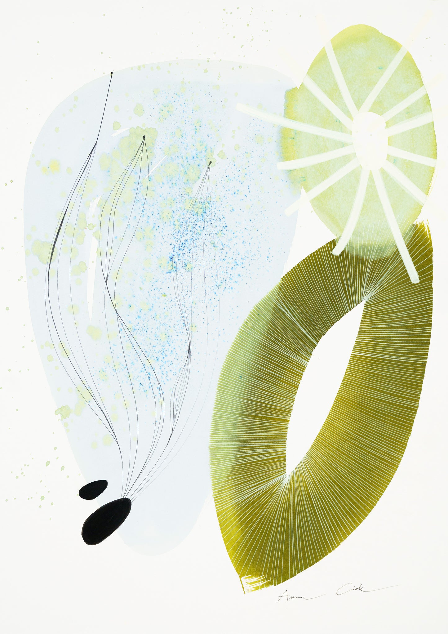Fucus 01 – Fine Art Print