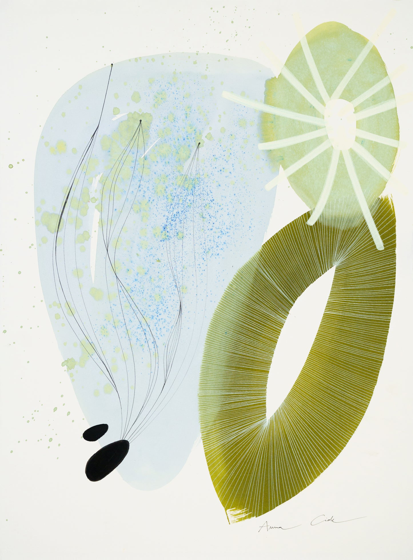 Fucus 01 – Fine Art Print