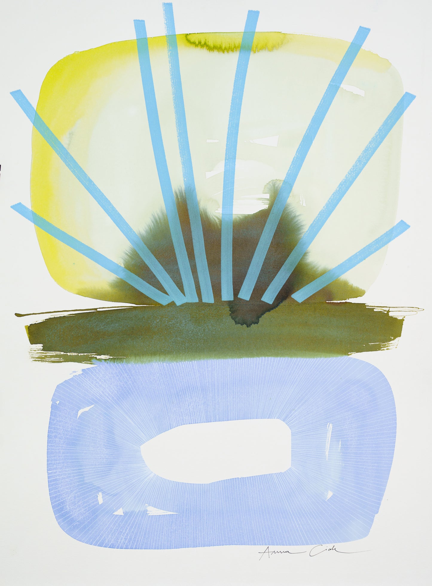 Fucus 04 – Fine Art Print