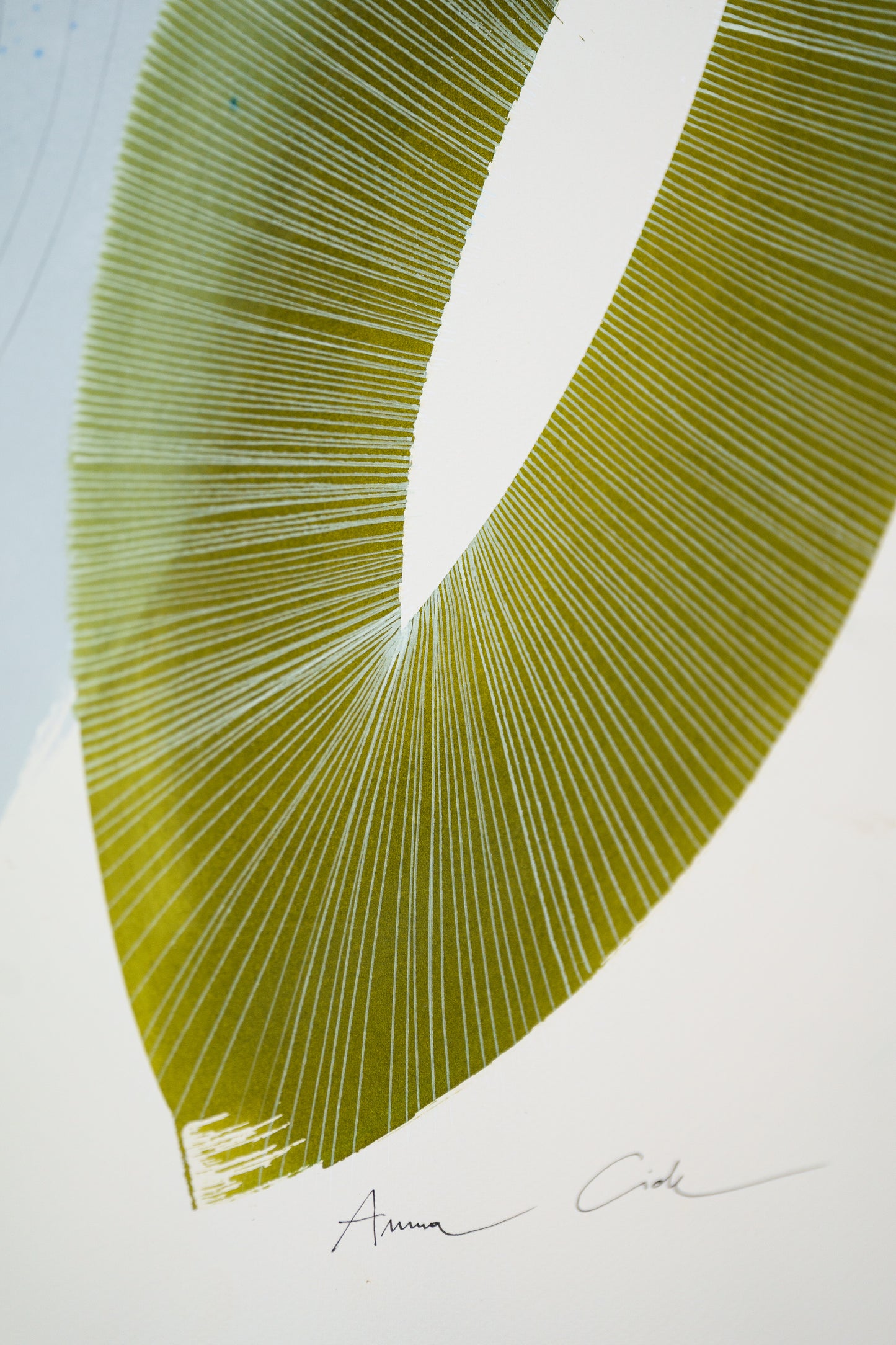 Fucus 01 – Fine Art Print