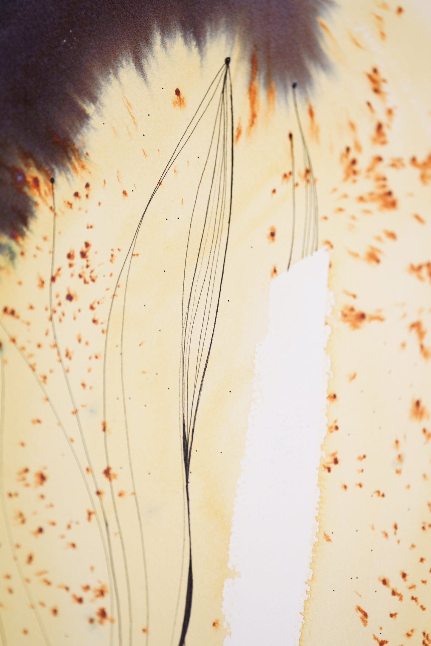 Obsidian 02 – Fine Art Print