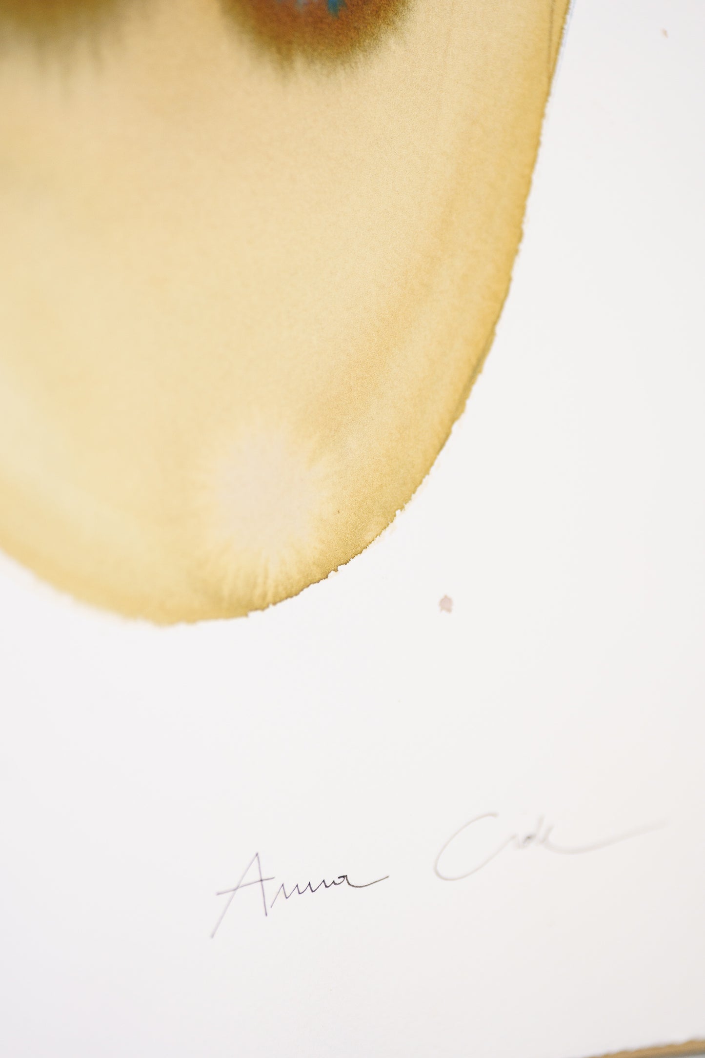 Novocumulus 32 – Fine Art Print