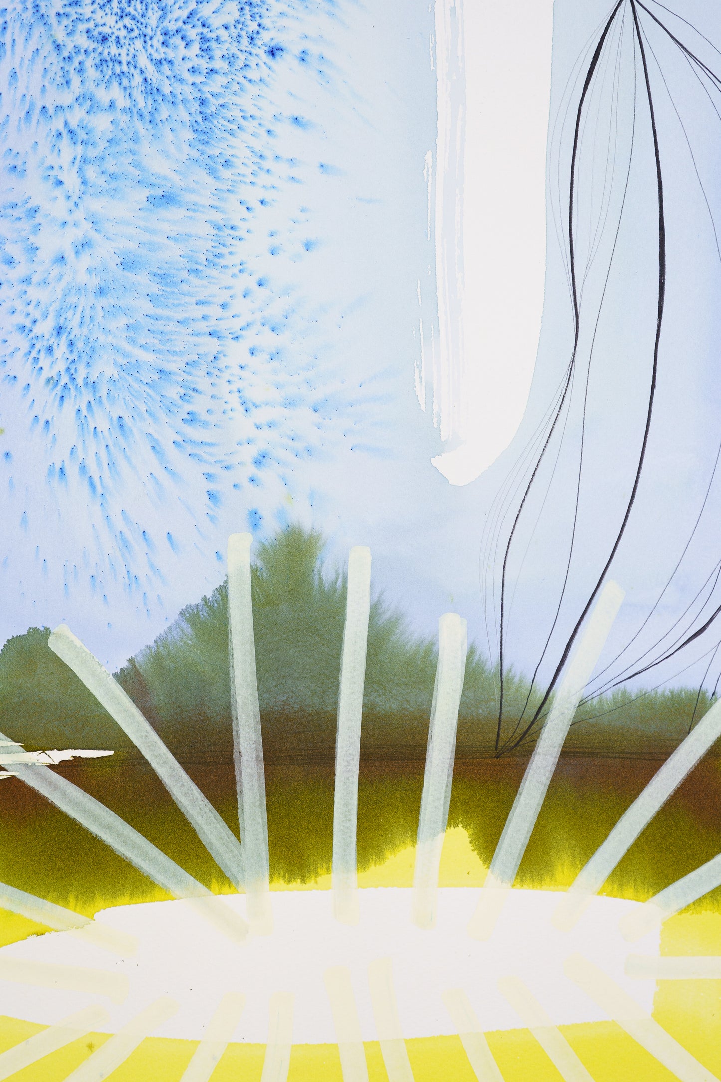 Fucus 03 - Fine Art Print