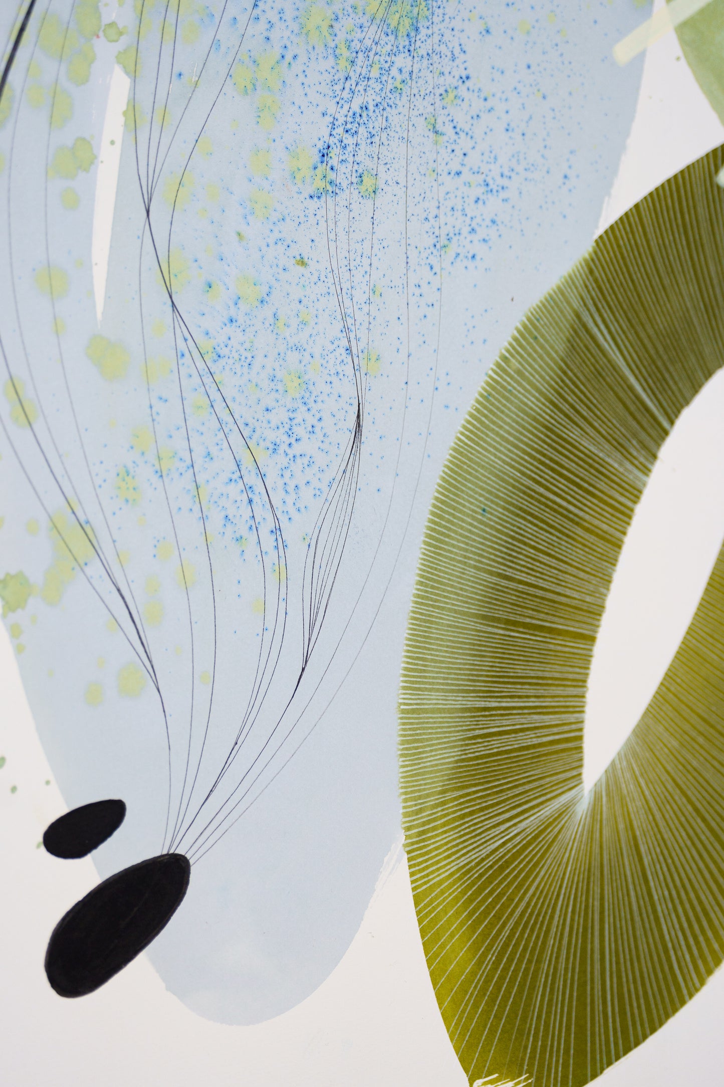 Fucus 01 – Fine Art Print