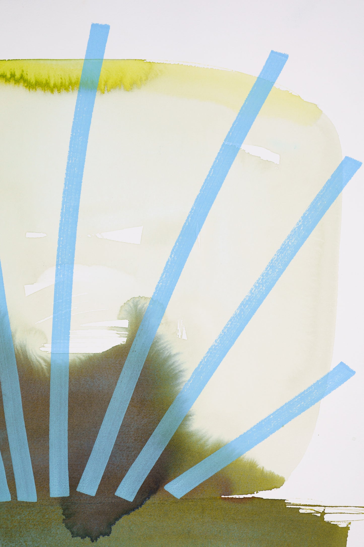 Fucus 03 - Fine Art Print