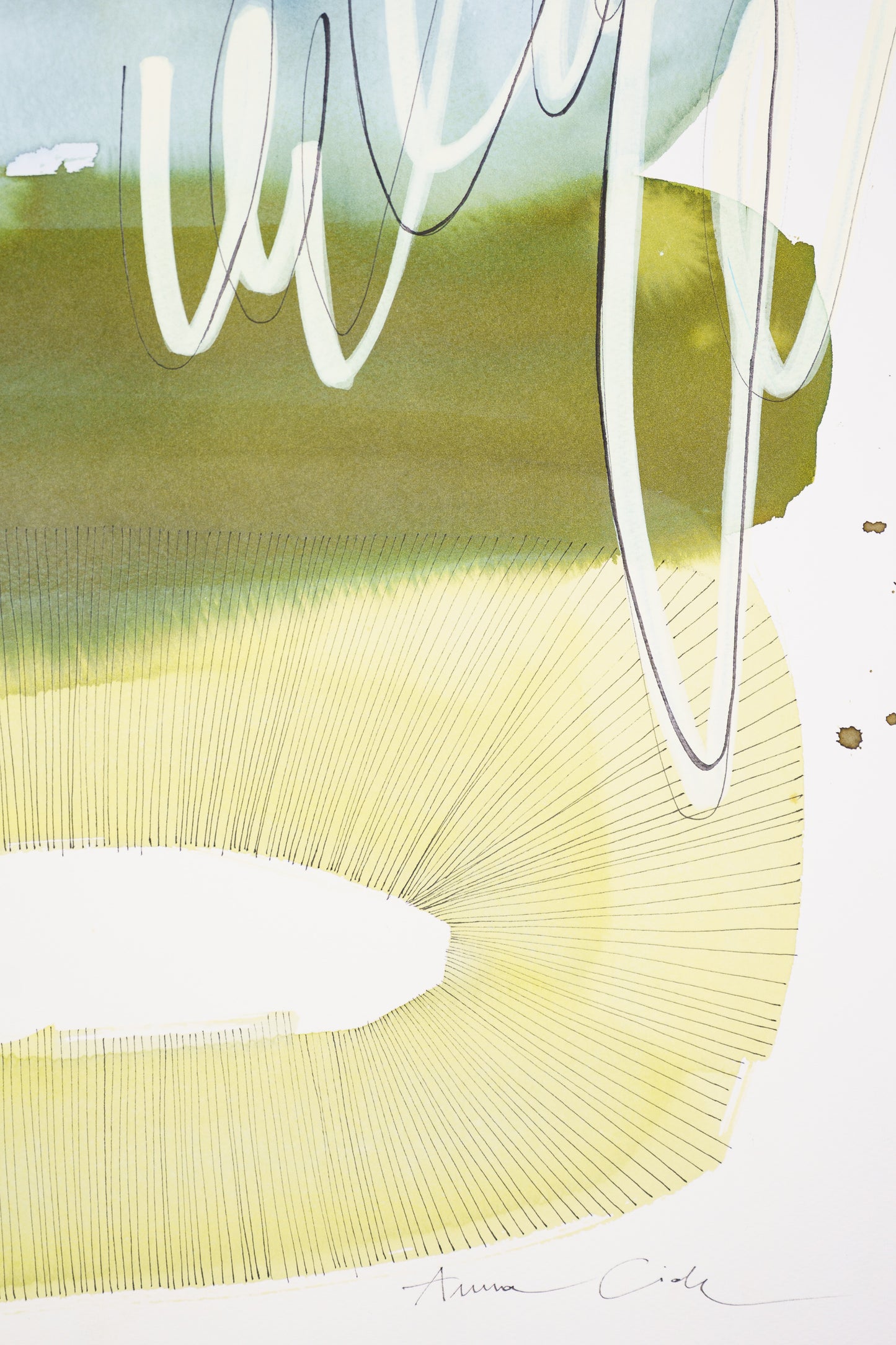 Fucus 02 – Fine Art Print