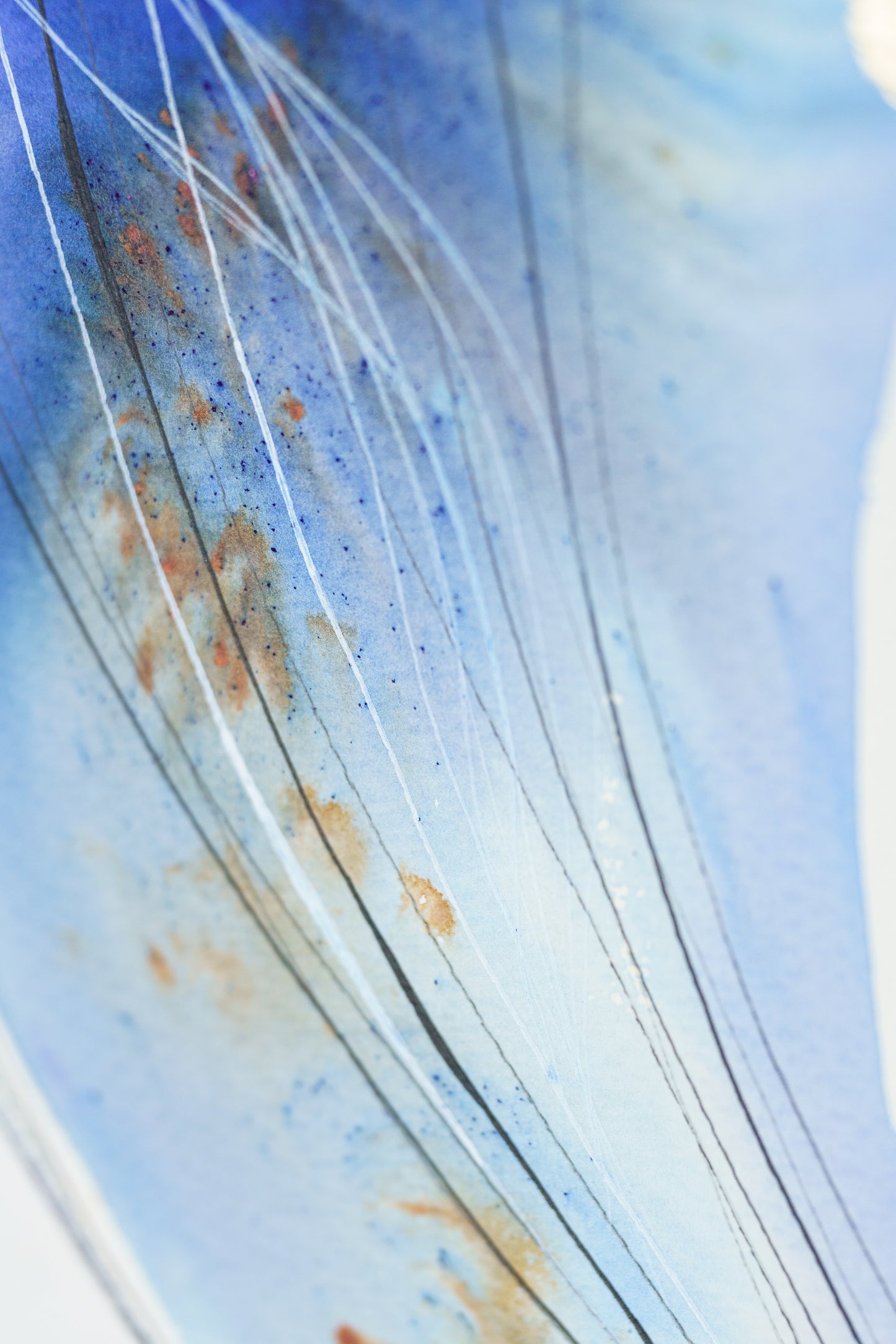 Stratocumulus 05 – Fine Art Print