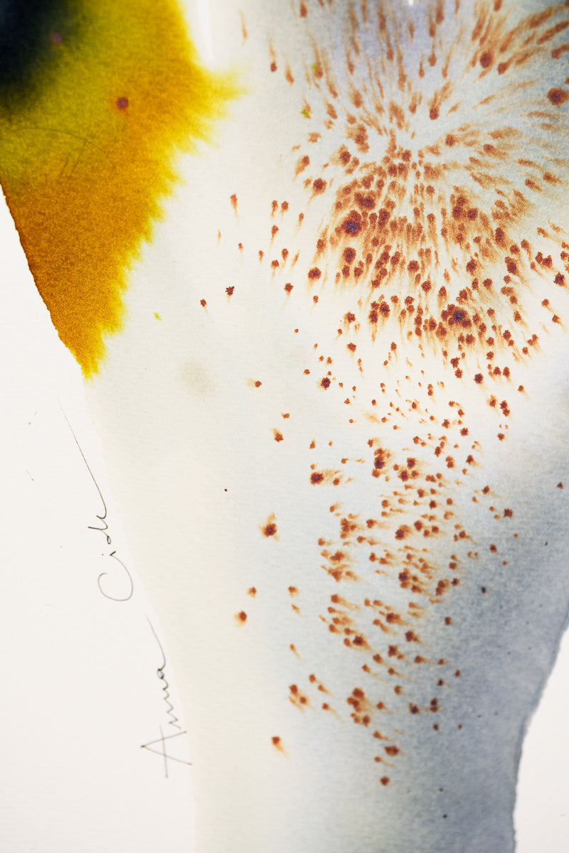 Aurora 03 – Fine Art Print by Anna Ciok